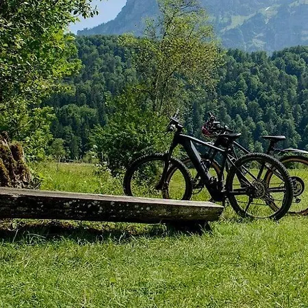 Baer Bizau