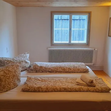 Baer Daire *